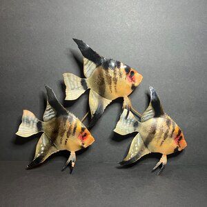 Vintage Bovano of Cheshire Enameled Metal Tropical Angel Fish Aquatic Wall Art